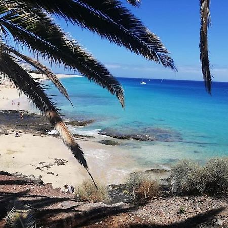 Apartamento Dominguez, Fuerteventura モロ・デル・ハブレ エクステリア 写真